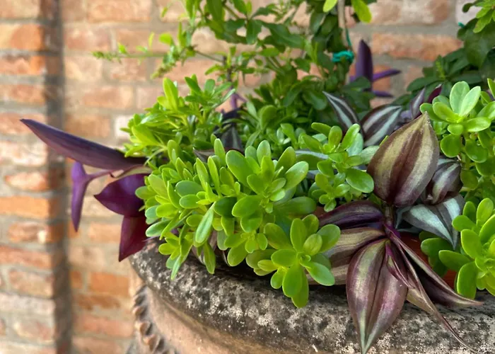 Casaforte La Bastide Ferrara