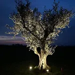 Casaforte La Bastide 4* פררה