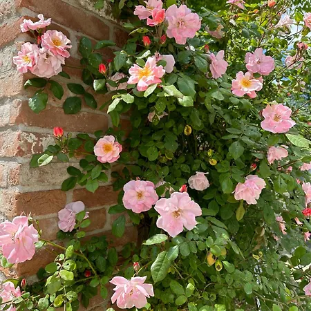 ベッド・アンド・ブレックファスト Casaforte La Bastide