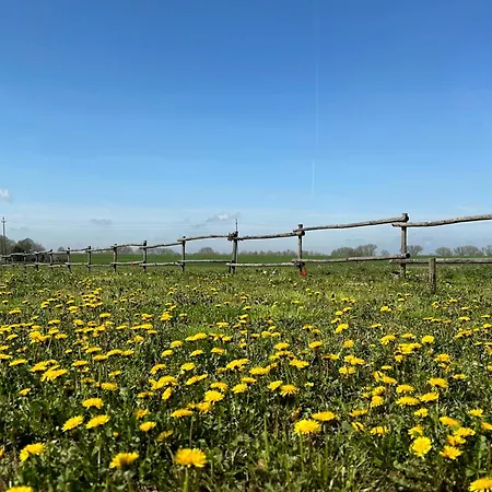 Casaforte La Bastide ベッド・アンド・ブレックファスト フェラーラ