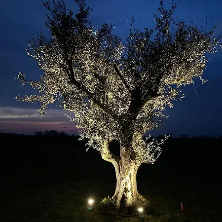 Casaforte La Bastide 4* フェラーラ