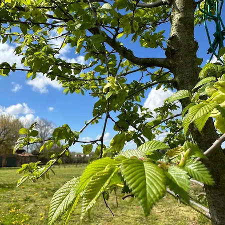 Casaforte La Bastide ベッド・アンド・ブレックファスト フェラーラ