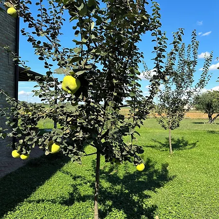 Casaforte La Bastide 4* Ferrare