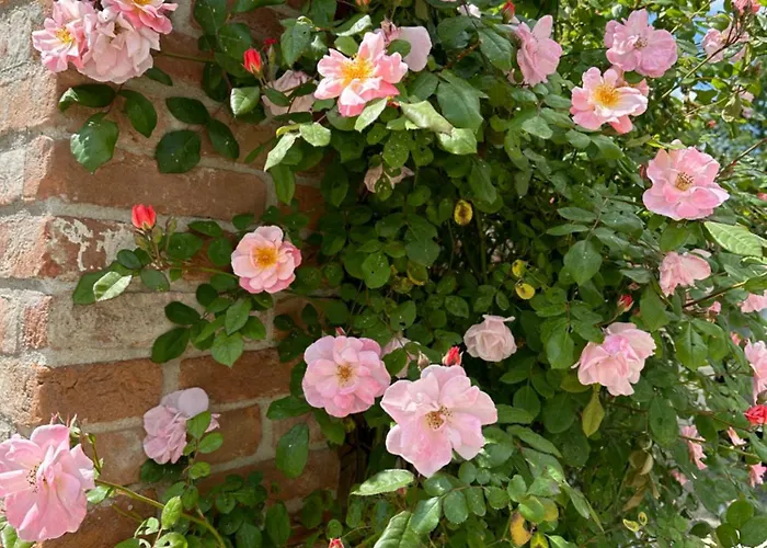 B&B Casaforte La Bastide