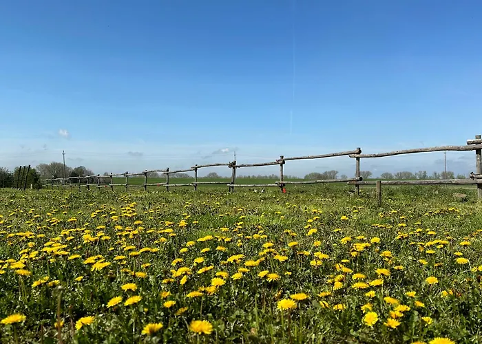 Casaforte La Bastide Oda ve Kahvaltı Ferrara