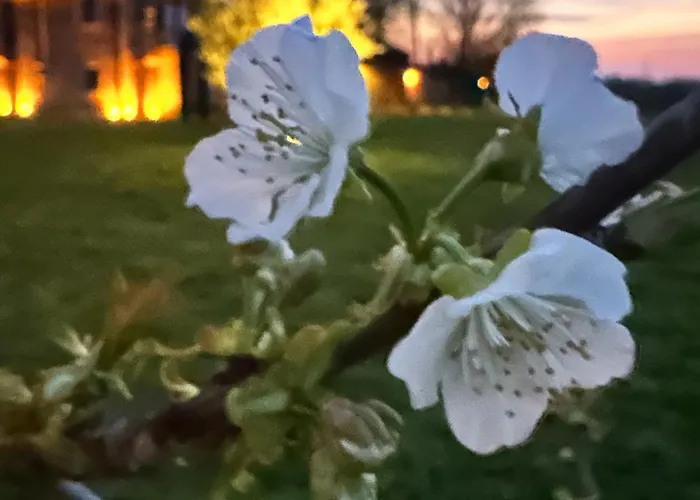 Oda ve Kahvaltı Casaforte La Bastide